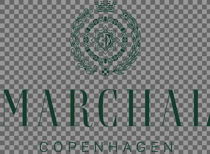 MARCHAL Logo Green 4