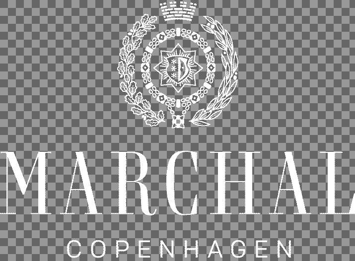 MARCHAL Logo Grey 3