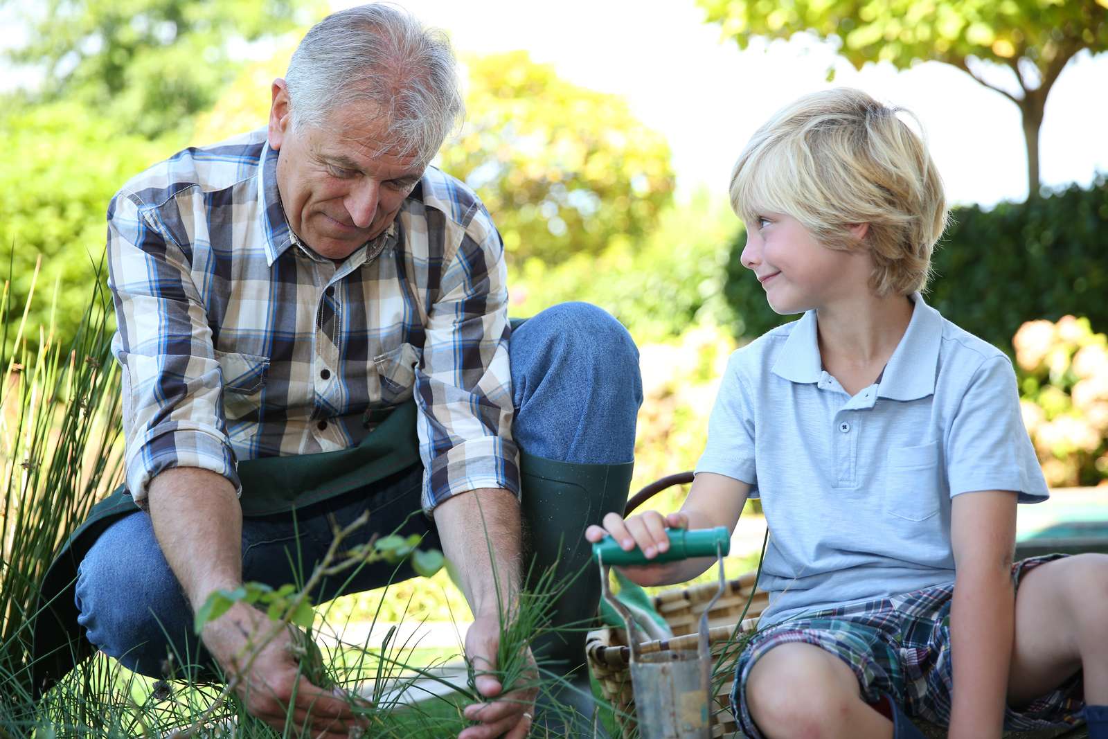 Grandpa with grandson gardening together in summer time
