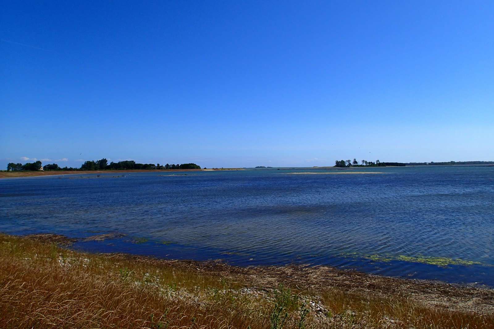 Gyldensteen Coastal Lagoon