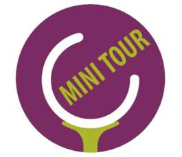 Mini Tour.png