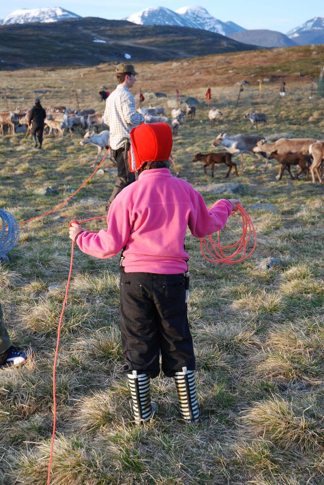 Child in the cow field