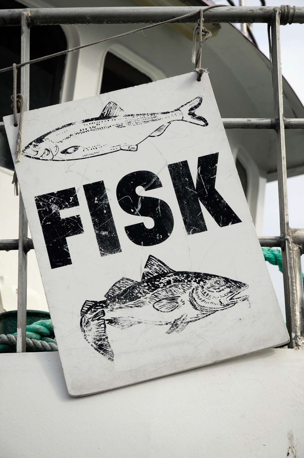 Fisk (sign: Fish)