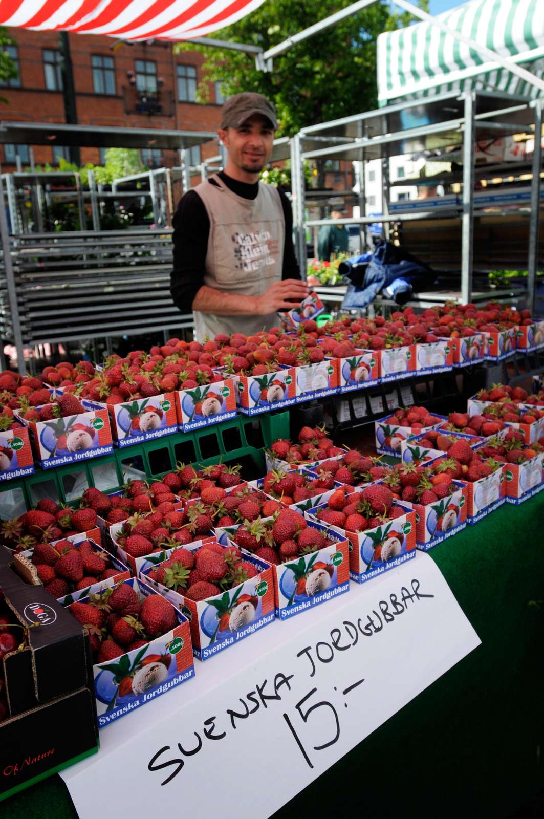 Strawberries for sale