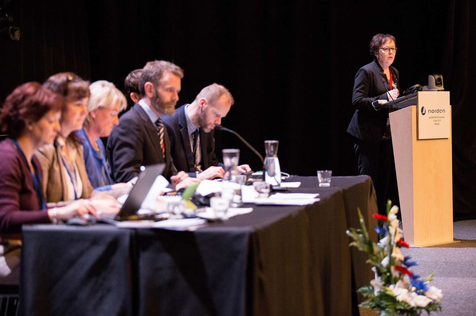 2014 - Nordic Council Session