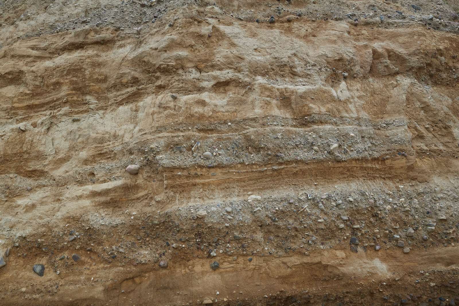 Bagenkop Bjerg detalje lerlag