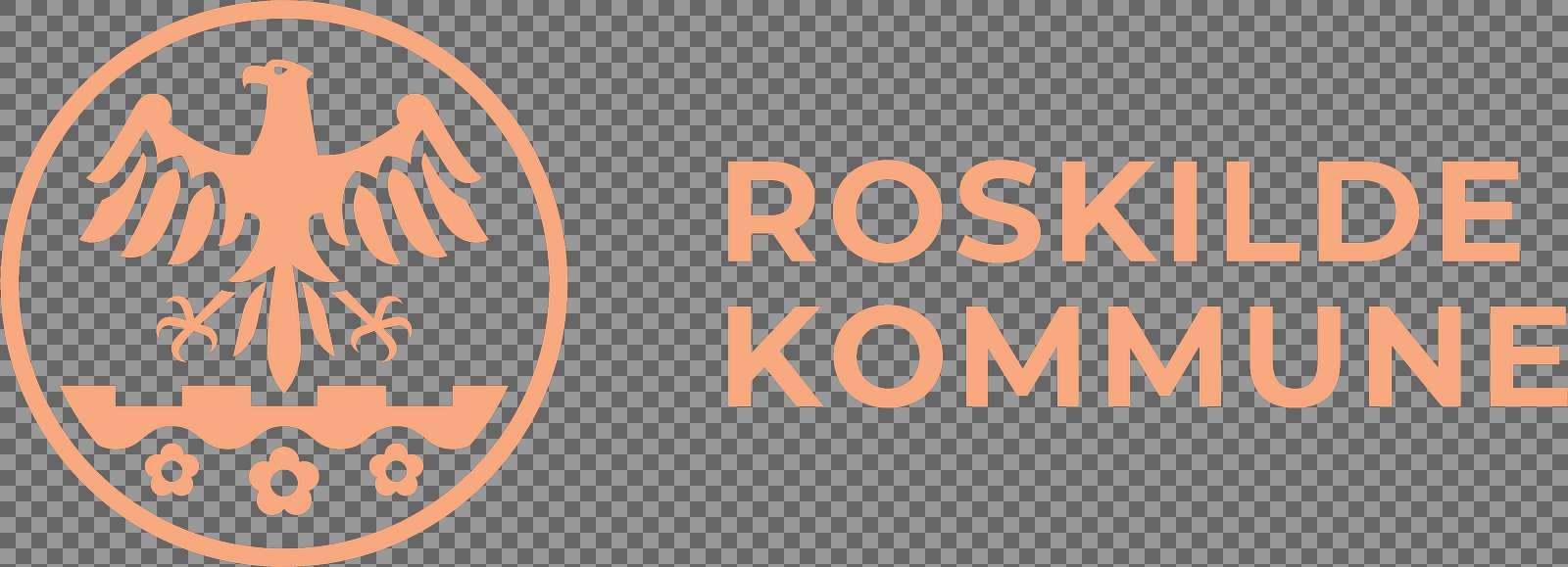 RK   Logo   CMYK   16 Orange lys