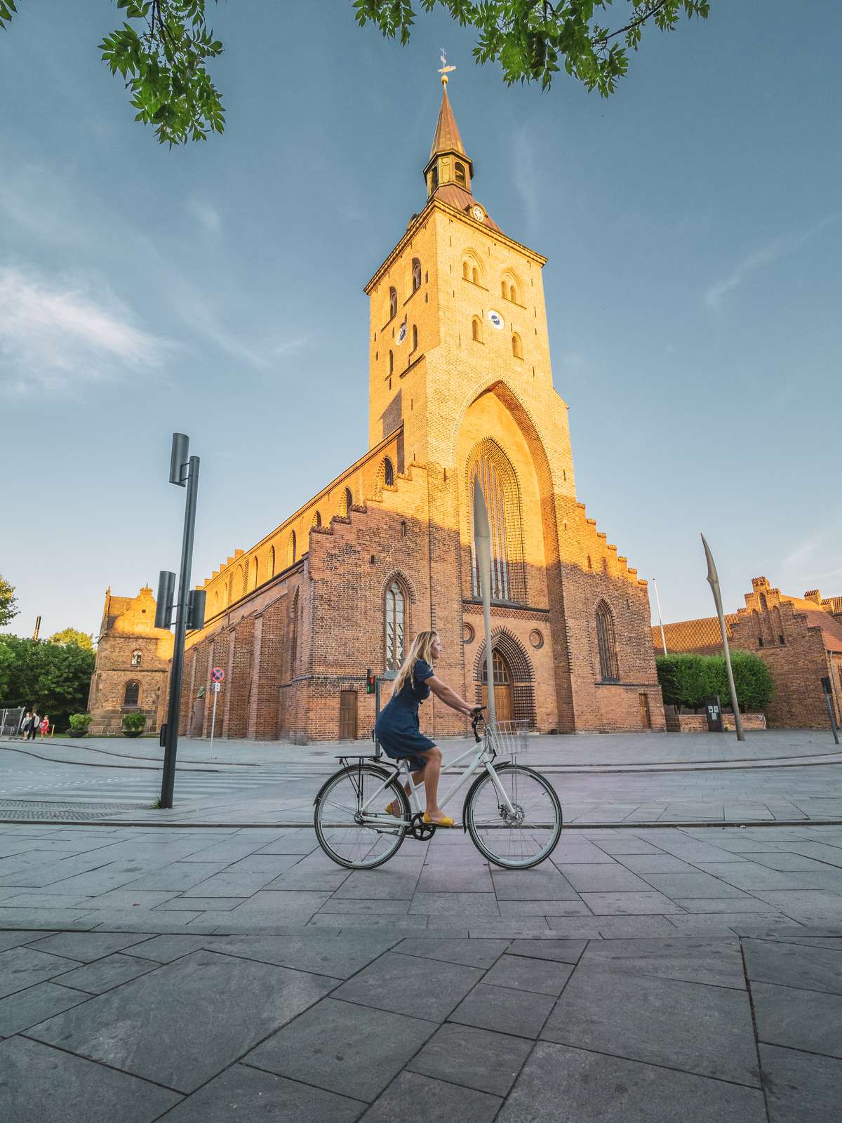 Cykling Odense sommer 2020 flakhaven