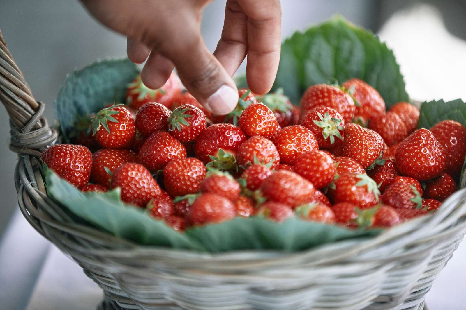 05 strawberries basket .jpg