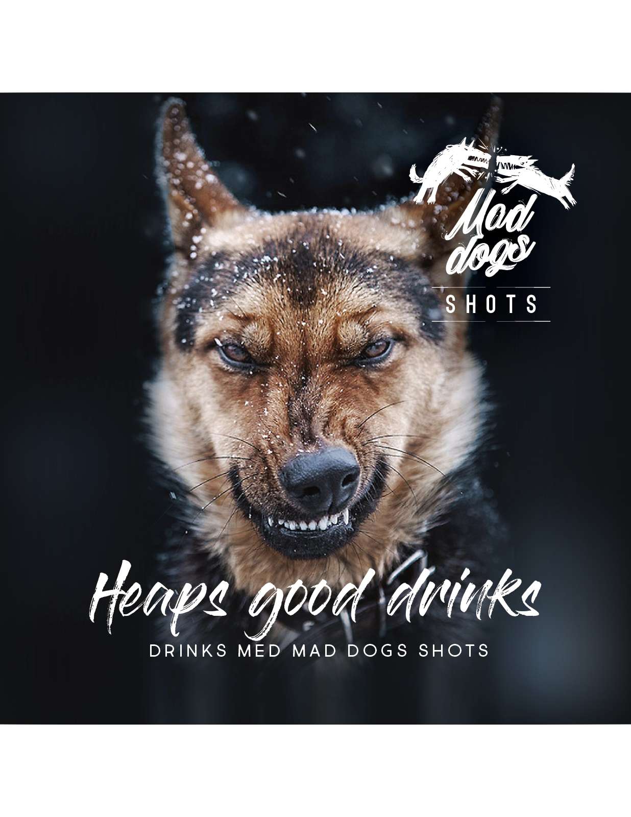 Mad-Dogs_Drinksopskriftshæfte_10x10cm.indd