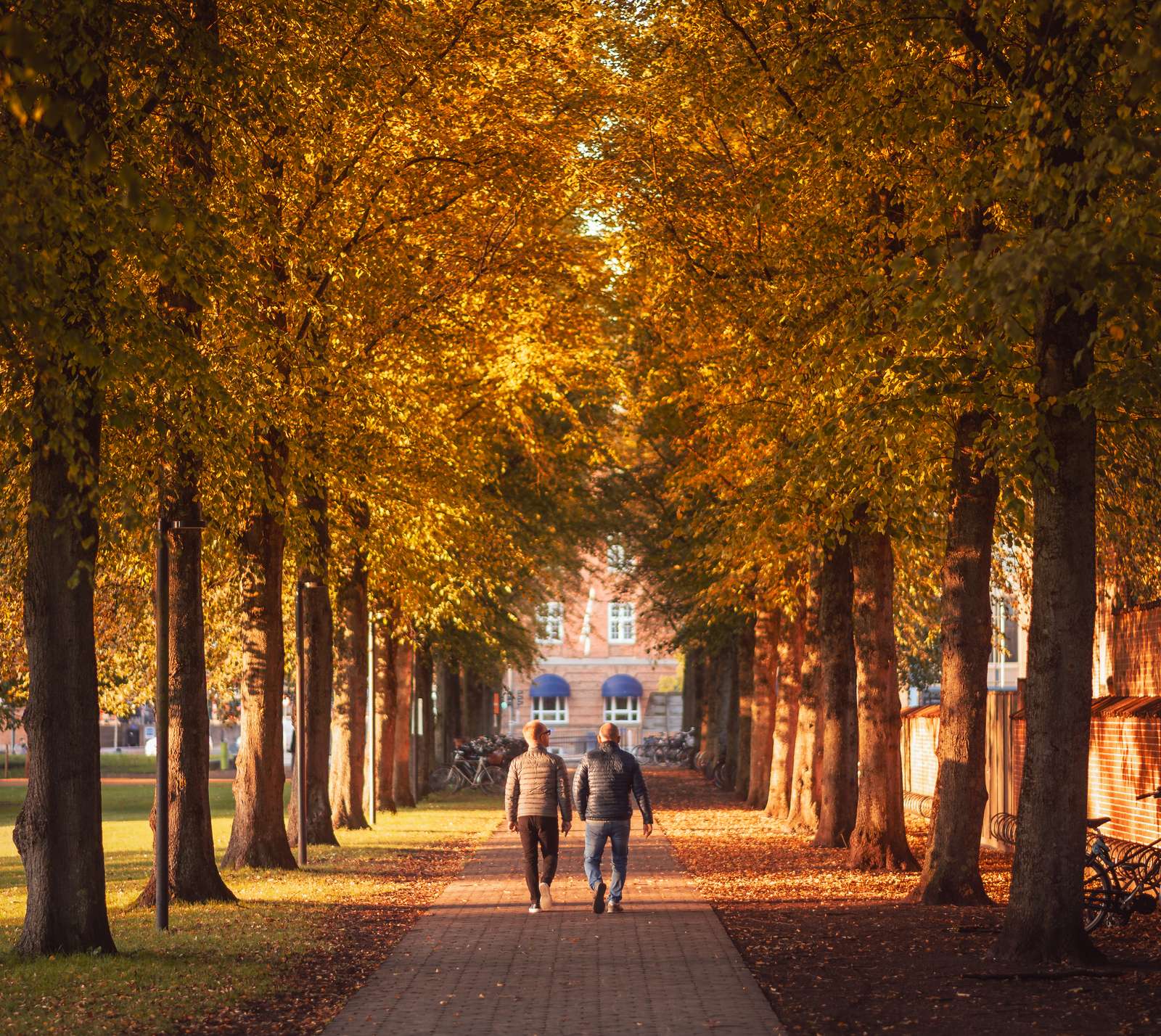 Autumn Odense 2021