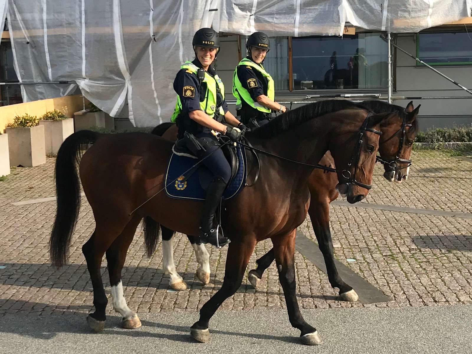 Police officers on horse