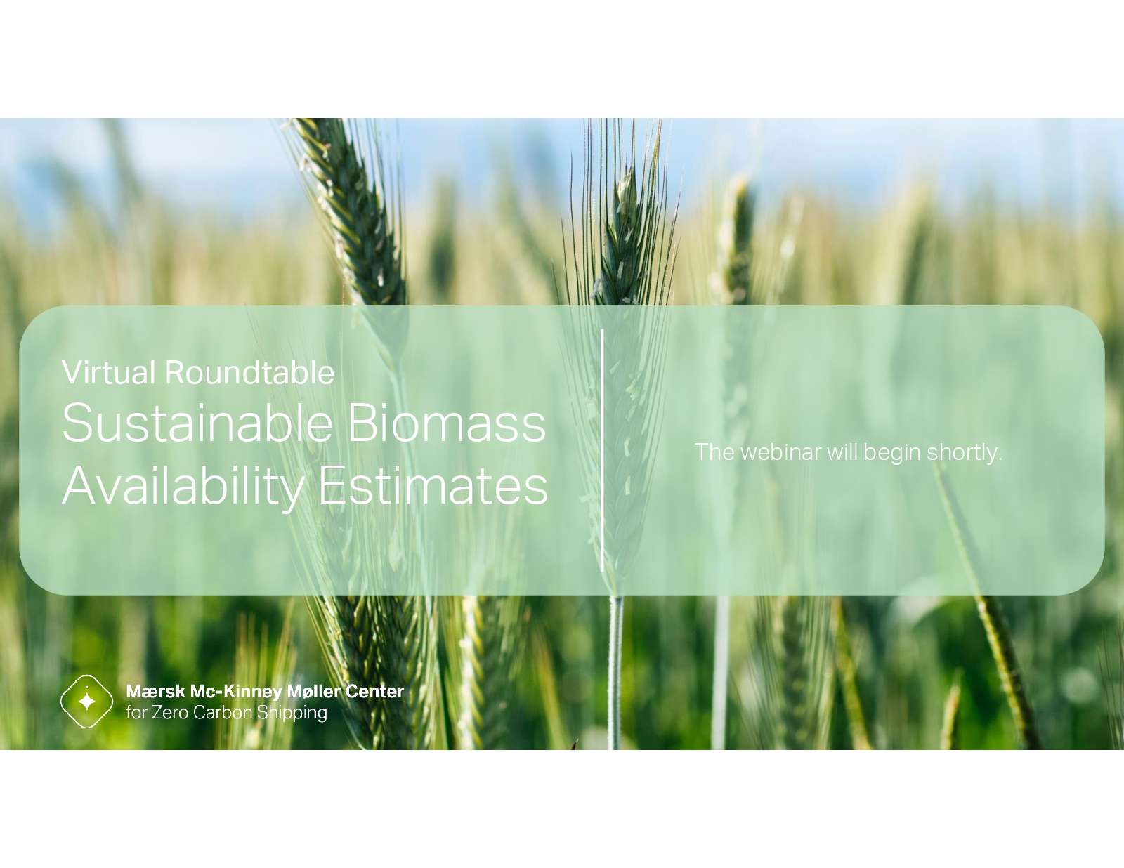 Webinar Presentation - Sustainable Biomass Availability Estimates