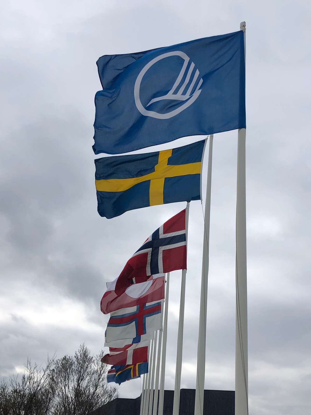 Nordic flags outside Nordic House, Iceland