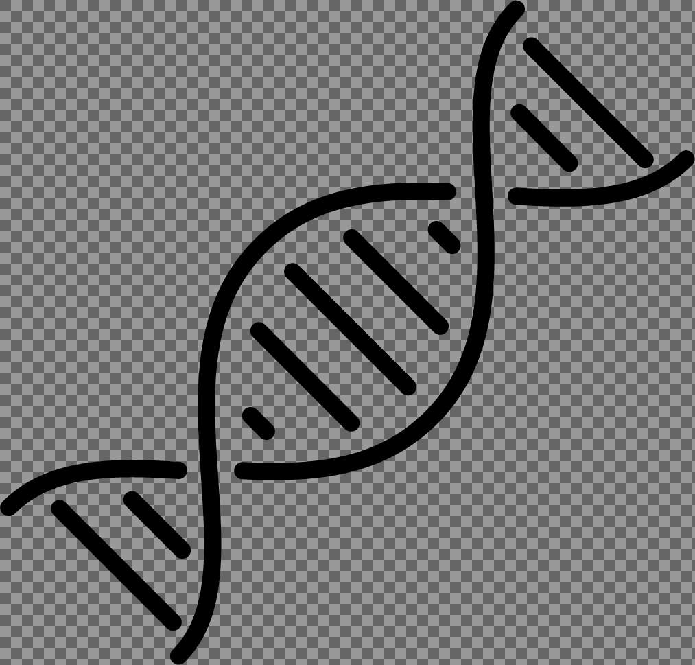 DNA sort streg