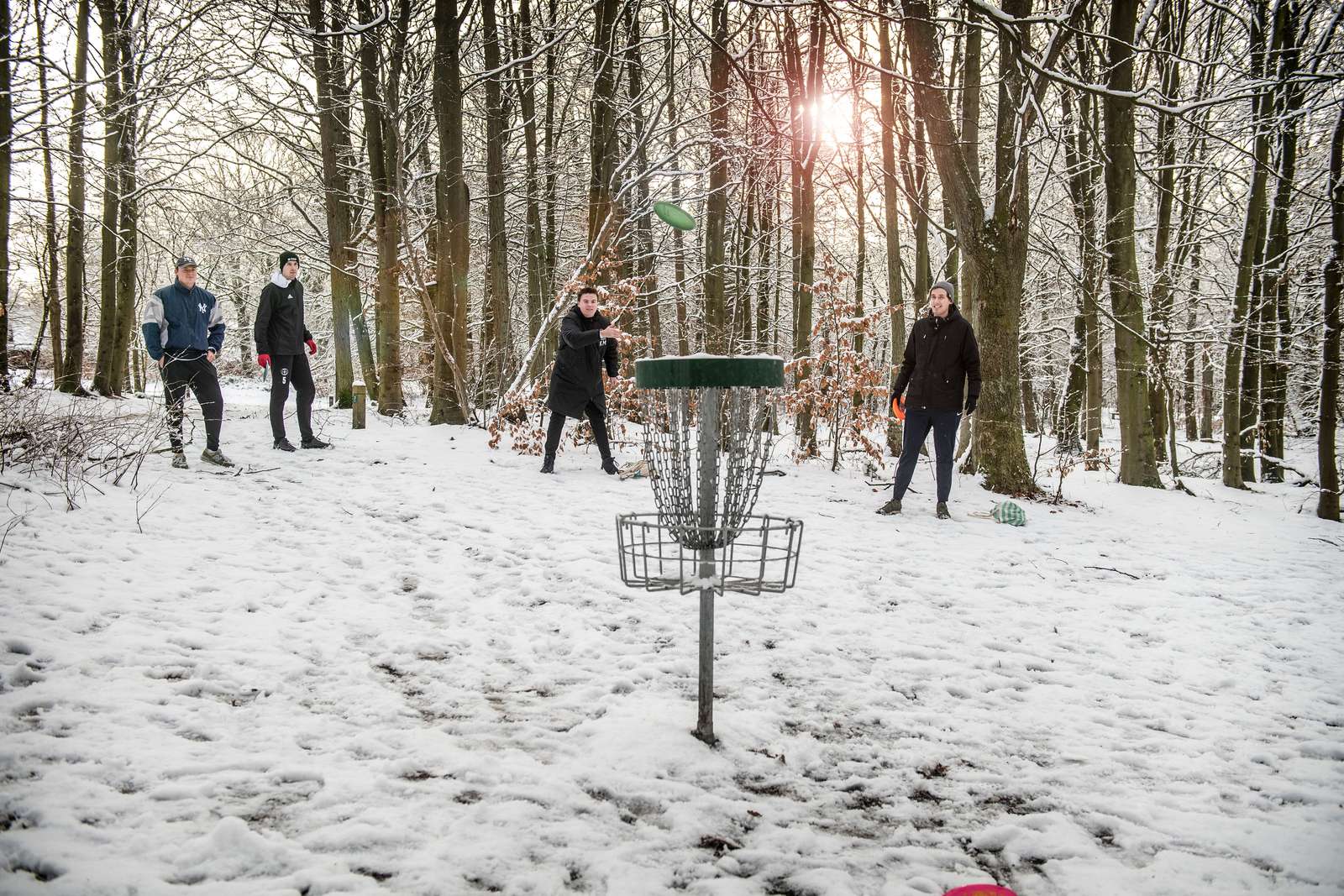 Disc golf i Nørreskoven, 2021.