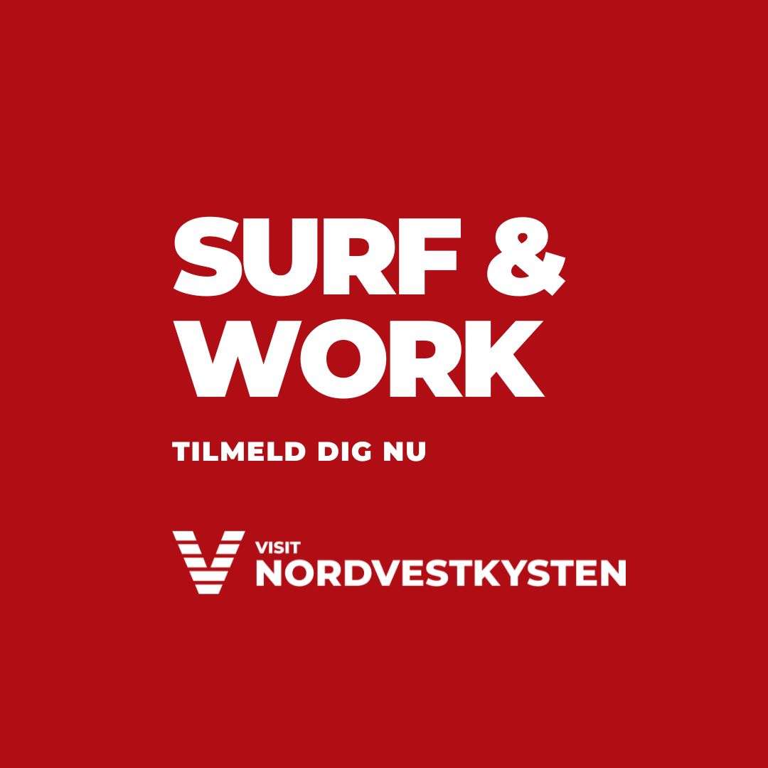 Surf & work 2023 - 12