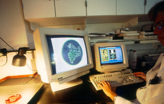 Computerskærme fra Autoimmunafdelingen