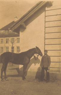 Staldmester Høeg med hest