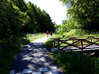 2 Stier over broer til villakvartererne v. Marienborgvej