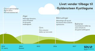 Gyldensteen grafik dansk