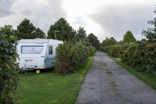 Rødvig Camping