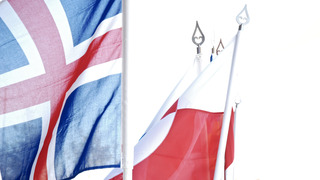 Icelandic flag