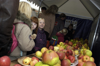 "Store Nordiske Æbledag" (The Big Nordic Apple Day)