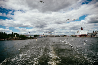 Seagulls by the water in Helsinki