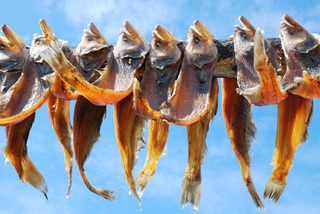 Drying of fish