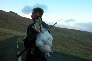 Man hunting on Faroe Islands