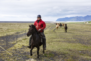 Horse riding on Iceland