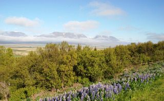 Sauðárkrókur, Iceland
