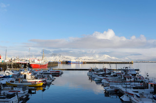 Fishing boats in Reykjavik