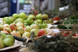 Apples at Kulturnatten 2015