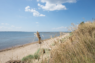 Gyldendal strand sommer (11 of 28)