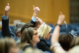 Voting, Nordic Council session 2019
