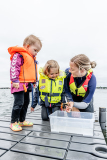 Kayak family, Destination Limfjorden