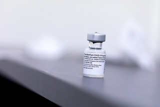 Vaccine W4A8249