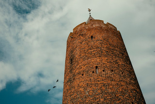 Gåsetårnet