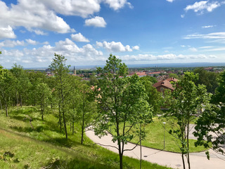 View of city and trees