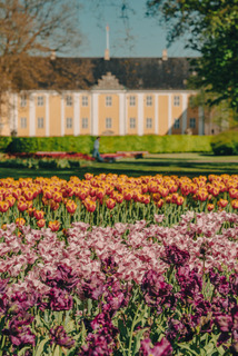 Gavnø Tulipanfestival 2023