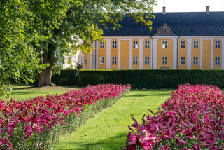 Liljer Gavnø Slotspark