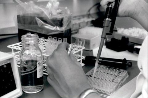 laborant arbejder med mikrobiologisk diagnostik