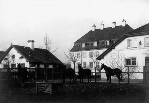 Hestefold bag hovedbygningen (bygning 41)