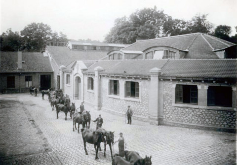Hestestald på Institut Pasteur Paris