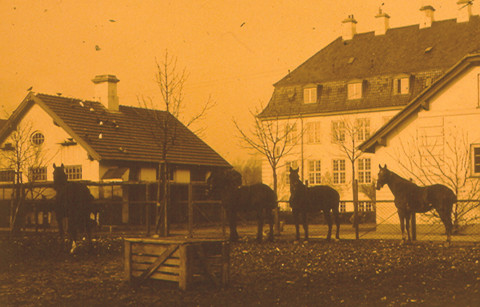 Hestefold bag hovedbygningen (bygning 41)