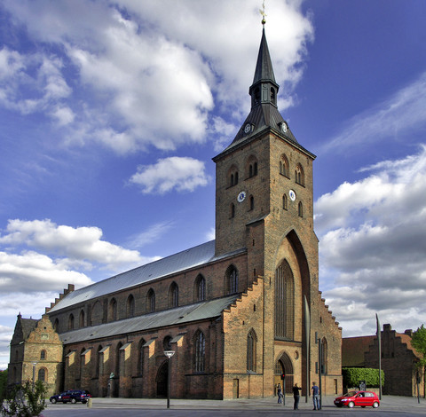 Odense Cathedral (4)