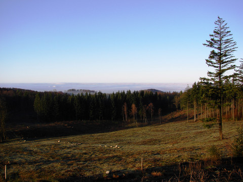 Svanninge Bjerge 5 (morgentåge).jpg