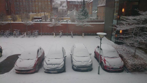 160317 Årets første sne 2014.jpg